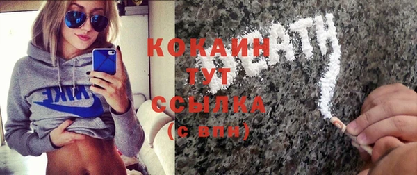кокс Алексин