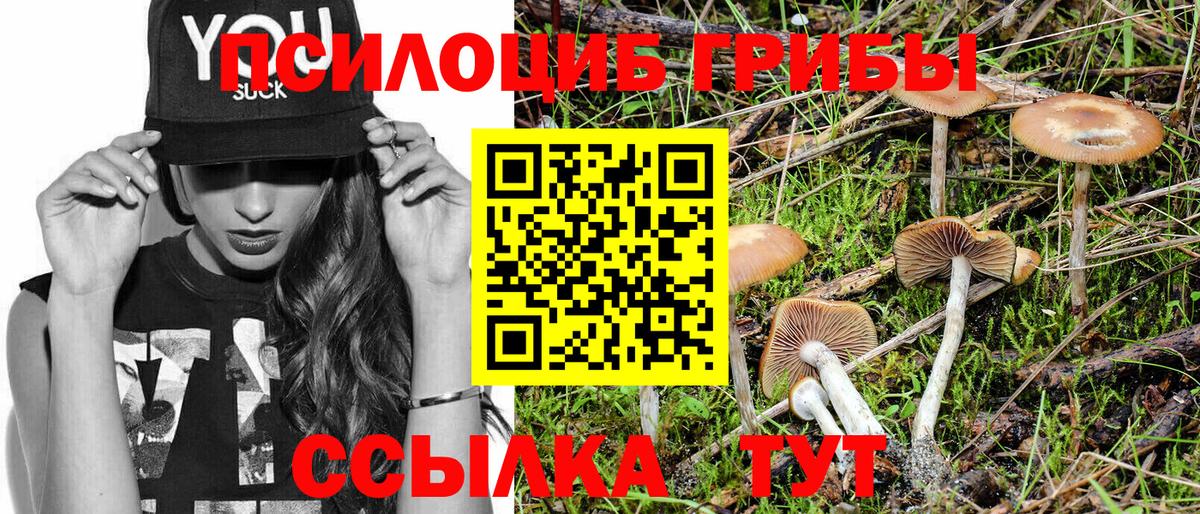 Галлюциногенные грибы Psilocybine cubensis Клин